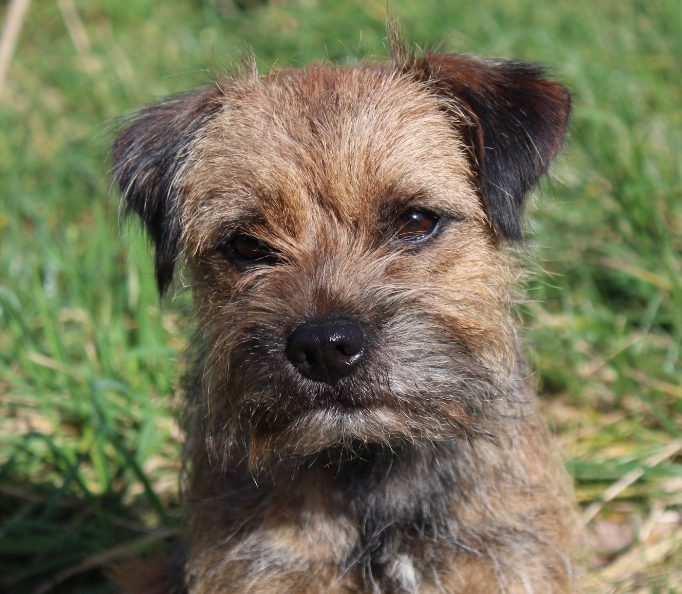 Utopia du chemin du paradis